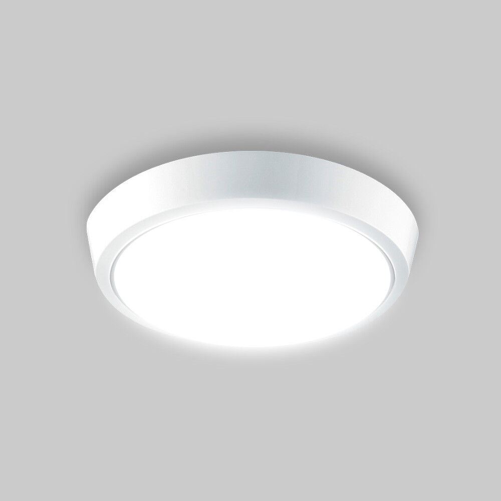 Світильник LED накладний LUMINARIA DLR 12W 5500K IP20